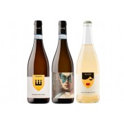 Declinazioni di Falanghine - 3 bottiglie 75 cl